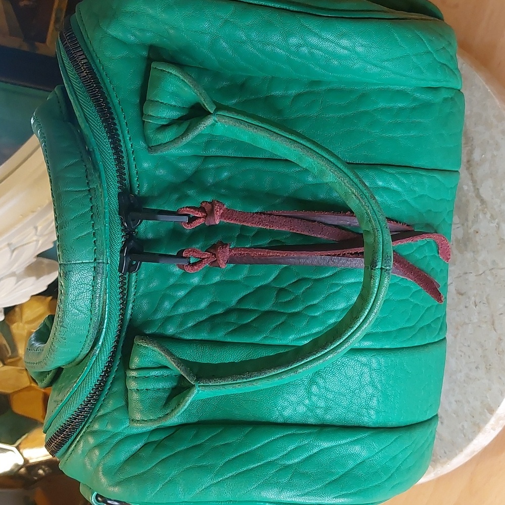 Alexander WANG ROCKIE 💚 rare Embossed Lambskin In Kelly Green Crossbody - Picture 6 of 13